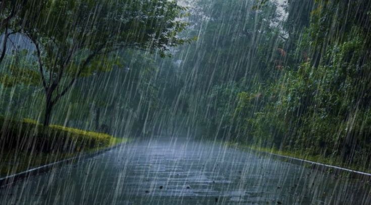 Rainy